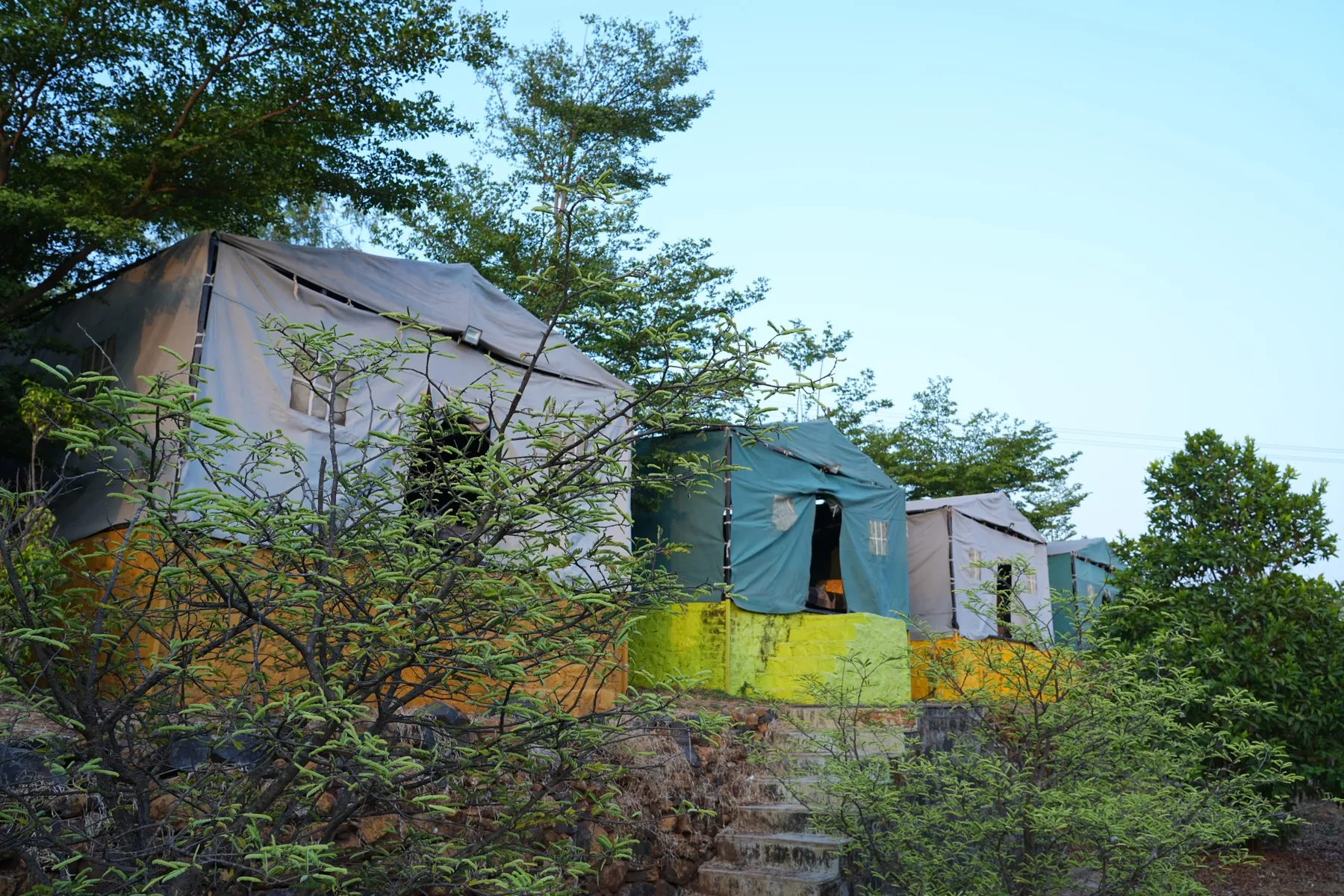 A row of canvas tents on raised platforms among the trees at the farm campsite near Pune.
