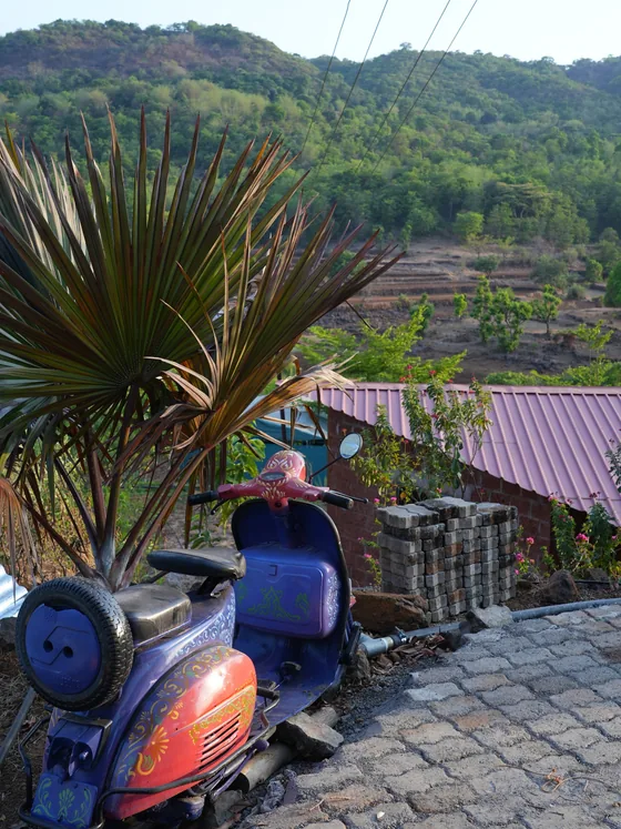 A painted scooter beside a palm, with the terraced hills behind.