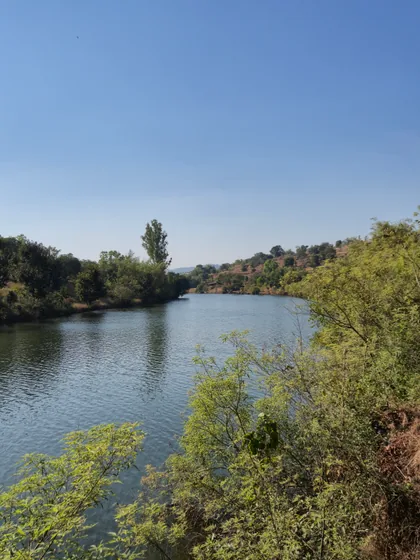 The river below the property, flat and wide, trees along the near bank.
