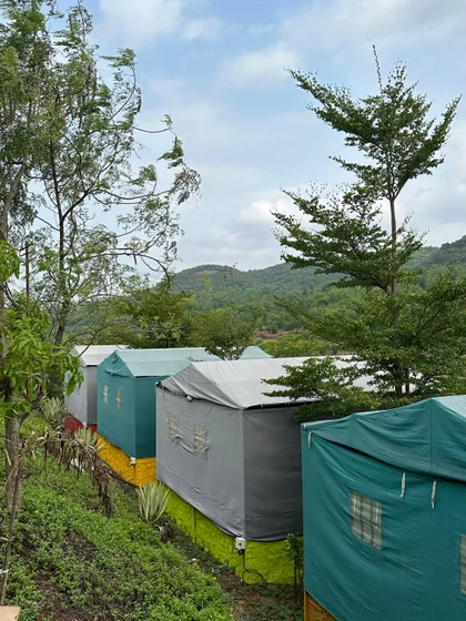 Tents pitched on the grass at the edge of the farm, hills behind.