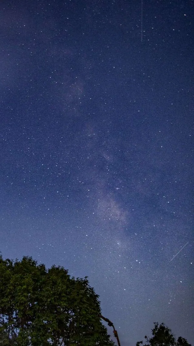 The Milky Way rising over the treeline in the dark sky above the farm.