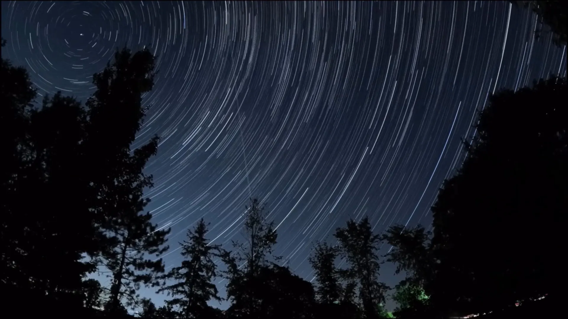 Star trails circling the pole star above a dark line of trees on a clear night.
