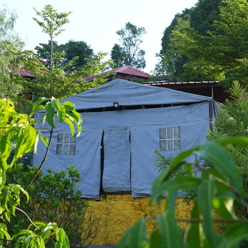 A big canvas tent with two windows, on a raised platform among the trees on the farm.